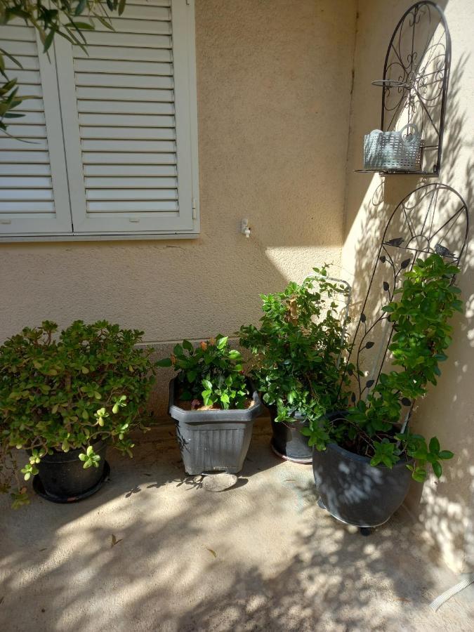 שיבניק Apartments Sunag מראה חיצוני תמונה
